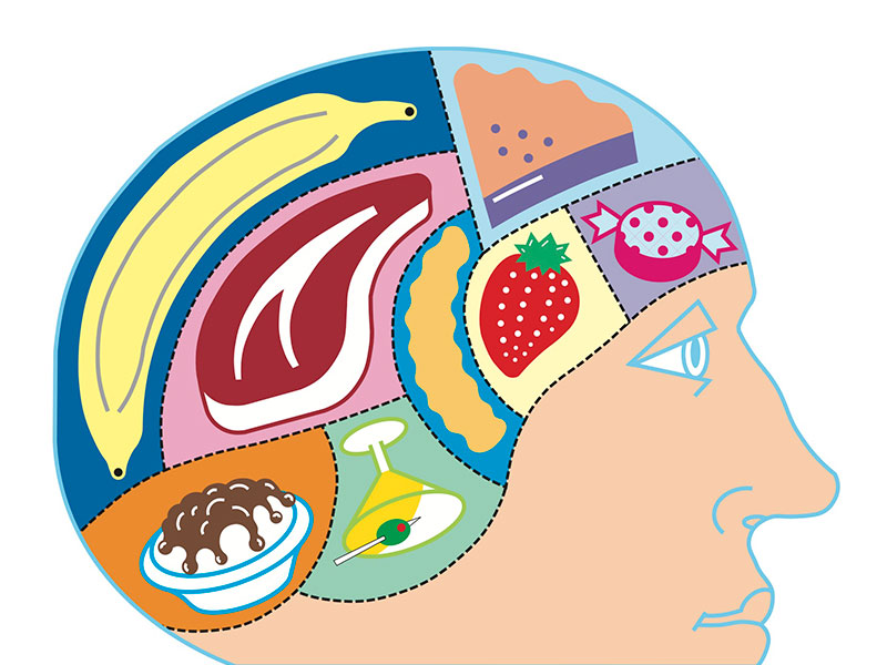 Cómo entrenar a tu cerebro para comer mejor - Cerebros, al laboratorio