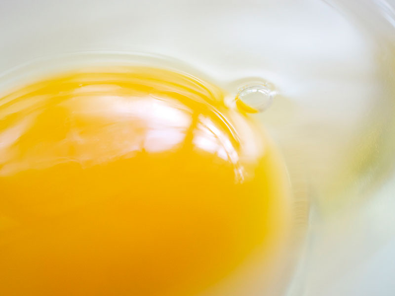Logran embarazarse gracias a un huevo - ¿De qué se trata?