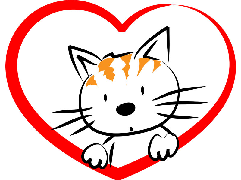Los gatos ¿promueven o ahuyentan la salud? - #6 Cuida el corazón