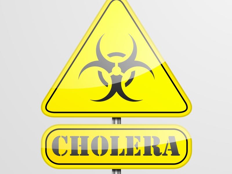 Las 7 bacterias más asesinas - Vibrio cholerae 