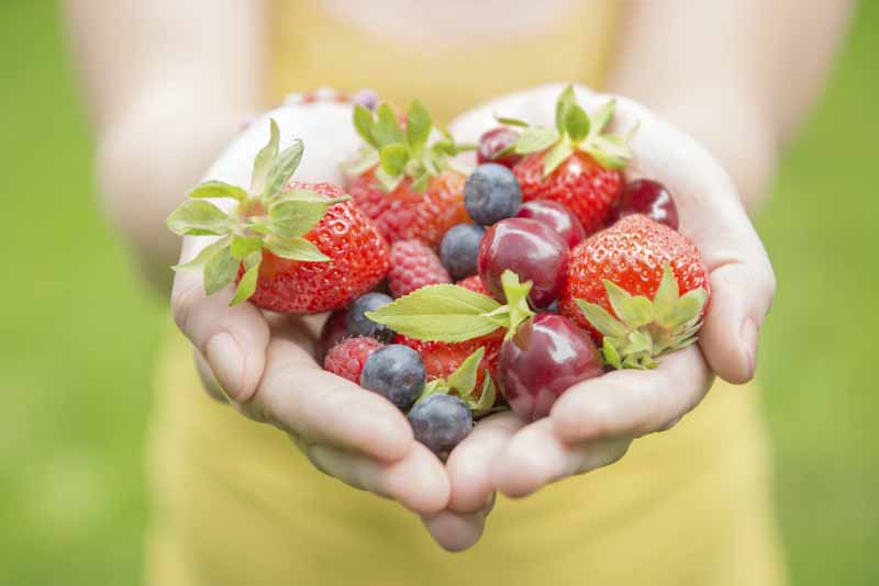 Dieta: seis mentiras sobre las frutas  - En conclusión