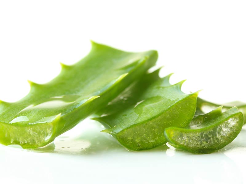 ¿Se pueden tratar las verrugas con remedios caseros? - #5 Aloe vera