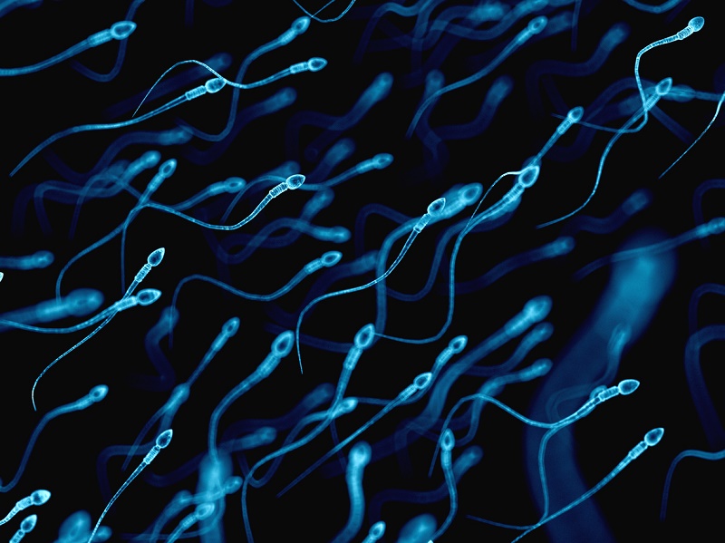 10 mitos sobre la vasectomía - El cuerpo no produce más esperma