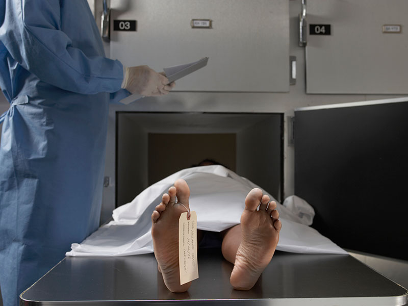 Un médico mexicano “revive” a los muertos - ¿De dónde surgió este interés?