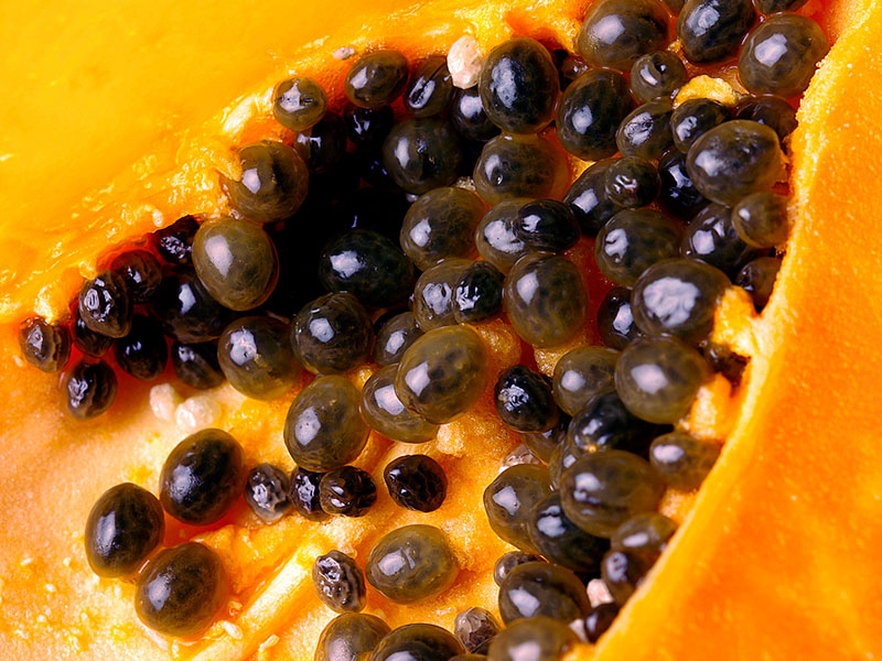 Semillas de papaya, ¿de verdad desparasitan? - El “santo” remedio