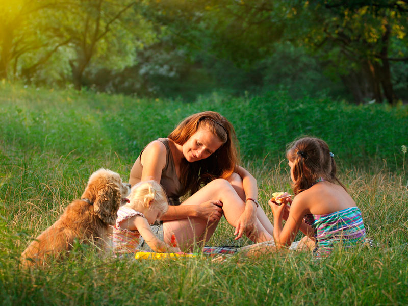 10 peligros que pueden arruinar tu verano - ¡Vámonos de picnic!
