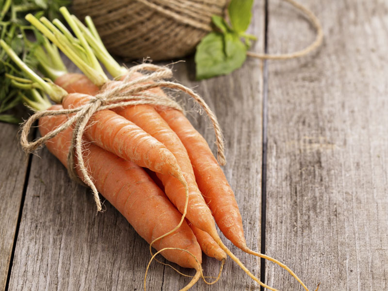  Cómo conservar más tiempo las verduras - 7. Rabanitos, rúcula, repollo, coles de Bruselas, zanahorias