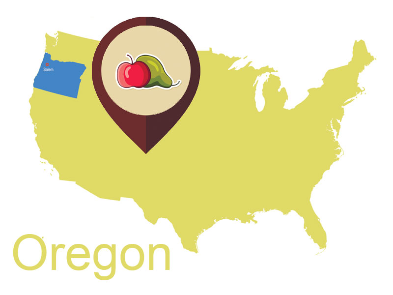 Mapa de la obesidad 2014: los estados más gordos de EE.UU.  - Oregon, el más amante de los vegetales
