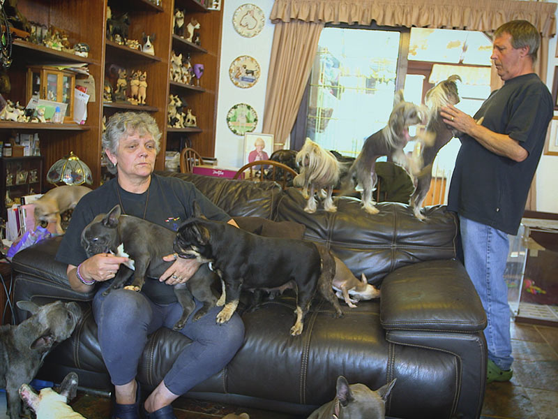 Mujer vive junto a 41 perros, ¿hasta dónde es sano? - Vive para ellos