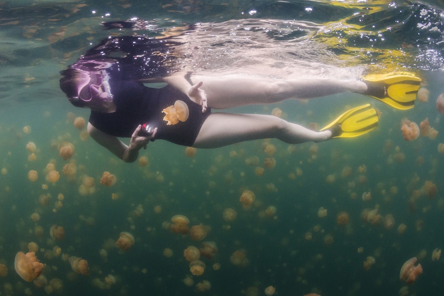 Cómo cuidarse de los peligros que acechan en verano - Qué hacer ante picadura de medusa
