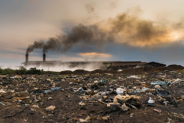 Contaminación ambiental, ¿cuáles son los efectos en el embarazo?