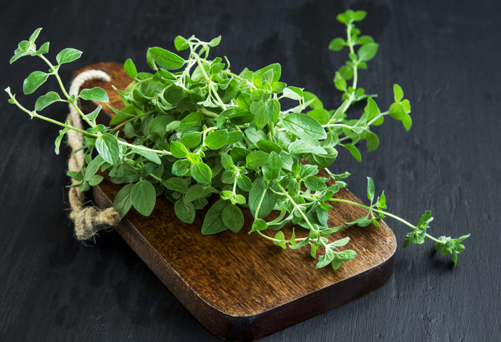 10 hierbas que debes incluir en tu dieta - Orégano