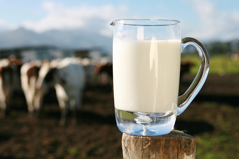 Las alergias alimentarias más comunes  - 2. Leche 