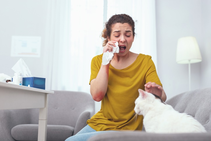 10 consejos médicos para controlar el asma - 7. Aléjate del pelo de los animales 