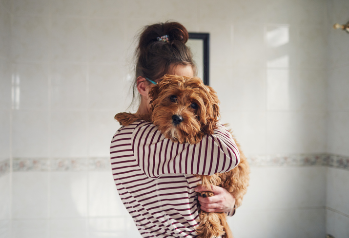 9 consejos para evitar que tu mascota te enferme - 9. Cuida su salud