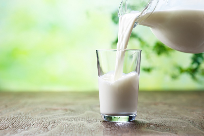 ¿Podemos vivir sin tomar leche? - Qué aporta al cuerpo