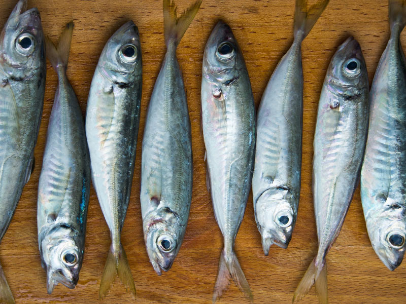 Cuaresma: disfruta del pescado sin riesgo de intoxicarte - Olor y color