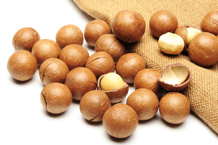 ¿Cuáles son las mejores nueces para una dieta? - Nuez de Macadamia