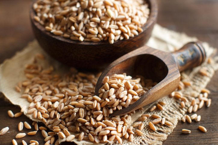 Beneficios de la espelta, el sustituto nutritivo del trigo - 