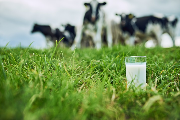 Leche de vaca Vs. leche vegetal ¿Cuál es mejor? - Valor nutricional de la leche de vaca