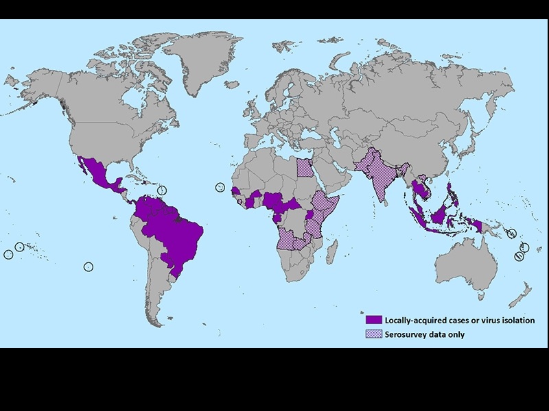 10 cosas que debes saber sobre el virus del Zika - 4. Qué regiones están afectadas