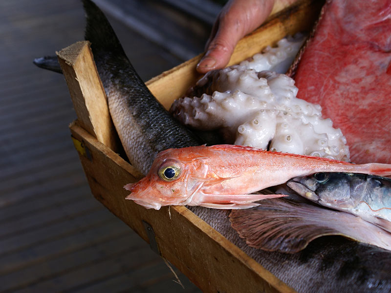 Cuaresma: disfruta del pescado sin riesgo de intoxicarte - El lugar también lo escoges