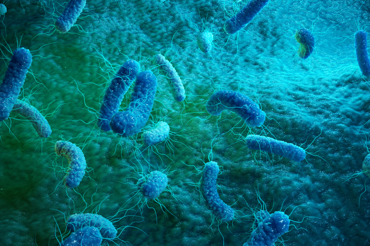 ¿Es un virus o bacteria? Cómo reconocer las diferencias - Bacterias
